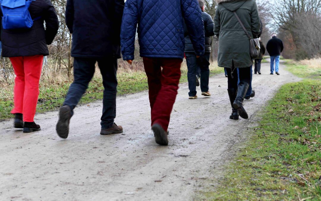 Spaziergang zum Durchatmen – Neue Kraft für Pflegende und Unterstützende